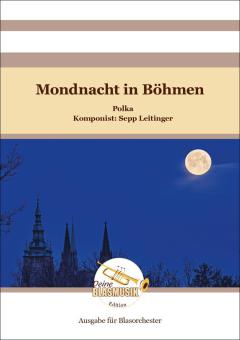 Mondnacht in Böhmen 
