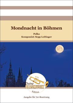 Mondnacht in Böhmen 