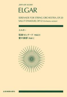Serenade for String Orchester - Salut D'Amour 
