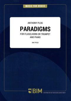Paradigms Standard