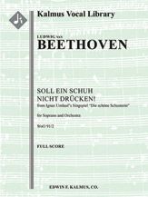 Concert Aria: Soll ein Schuh nicht druecken! 