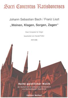 Weinen, Klagen, Sorgen, Zagen BWV12 - 2 Vorspiele 