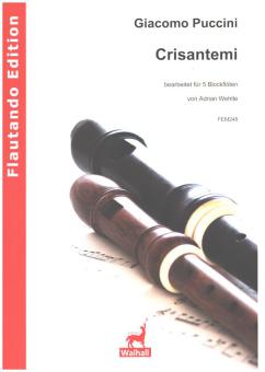 Crisantemi 