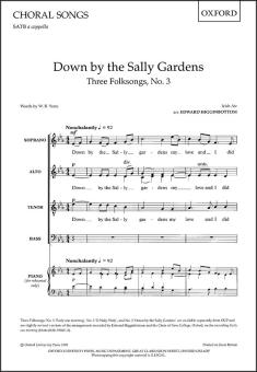 Down by the Sally Gardens 