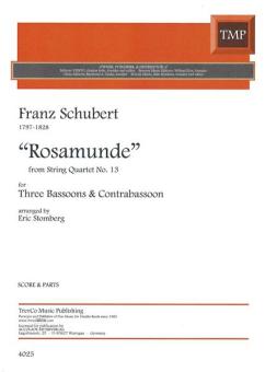 Andante aus dem "Rosamunde" Quartett 