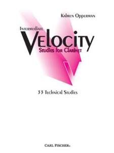 Intermediate Velocity Studies 