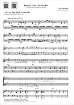 Ludi, wo hast du dich versteckt Standard