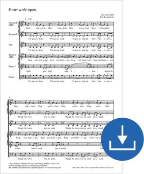 Heart wide open Download