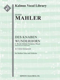 Des Knaben Wunderhorn No. 9 