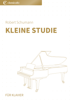 Kleine Studie 
