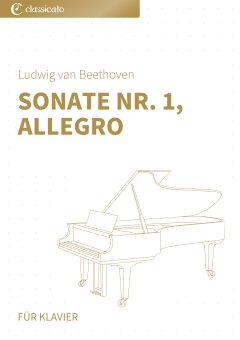 Sonate Nr. 1, Allegro 
