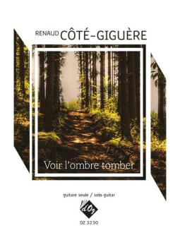 Voir L'Ombre Tomber 