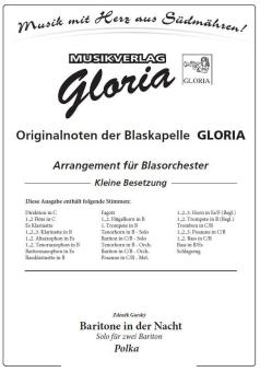 Baritone in der Nacht 