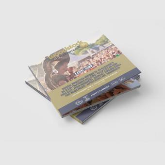 Woodstock der Blasmusik 2022 