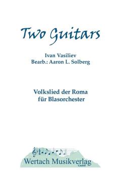 2 Guitars 