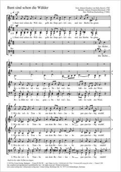 Bunt sind schon die Wälder Standard