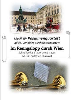 Im Renngalopp durch Wien 