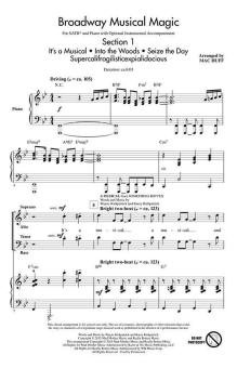 Broadway Musical Magic 