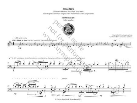 Where She Has Always Been 