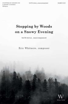 Stopping By Woods on a Snowy Evening 