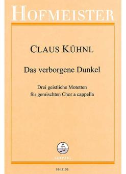 Das verborgene Dunkel 