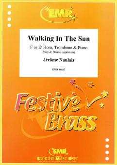 Walking In The Sun Download