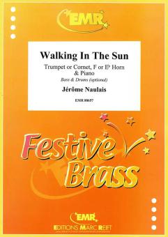 Walking In The Sun Download