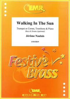 Walking In The Sun Download