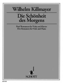 Die Schönheit des Morgens 