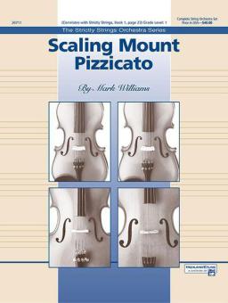 Scaling Mount Pizzicato 
