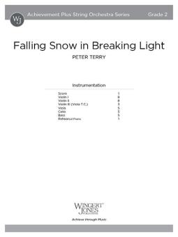 Falling Snow in Breaking Light 