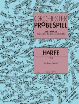 Orchester-Probespiel Harfe 