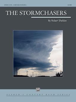 The Stormchasers 