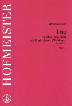 Trio op. 49 Nr. 1 