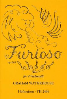 Furioso, op. 21,3 