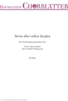 Sterne über stillen Straßen 