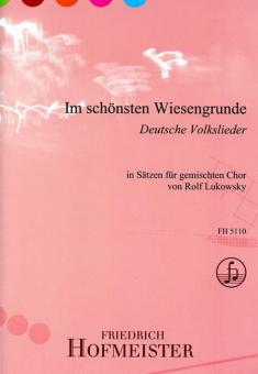 Im schönsten Wiesengrunde 