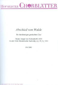 Abschied vom Walde 