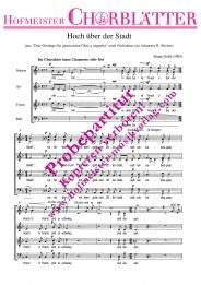 Hoch über der Stadt (In dem Café) 