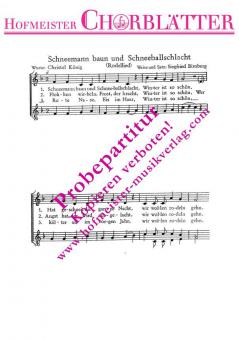 Schneemann baun und Schneeballschlacht 