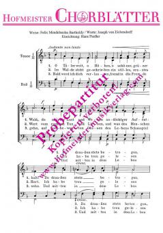 Abschied vom Walde (O Täler weit, o Höhen) 