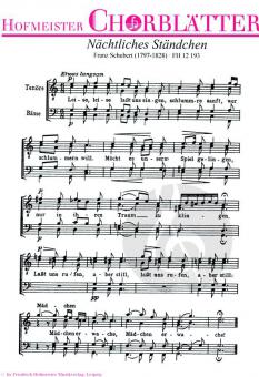 Nächtliches Ständchen (Leise, leise lasst uns singen) 
