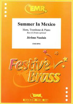 Summer In Mexico Download