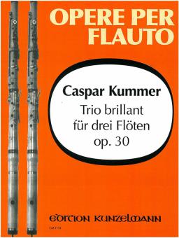 Trio brillant op. 30 