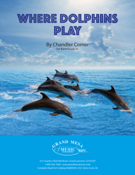 Where Dolphins Play 