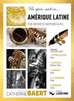 Un après midi en... Amérique latine 