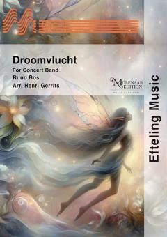 Droomvlucht 