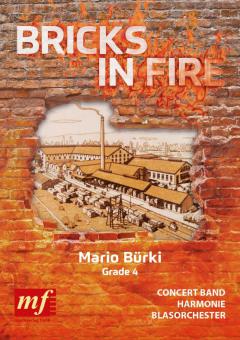 Bricks in fire 