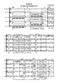 Concertino für Horn und Orchester op. 45 