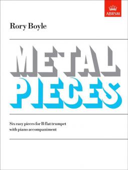 Metal Pieces 